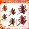 12 Pcs Thanksgiving Wooden Table Signs Maple Leaf Wood Tabletop Decoration